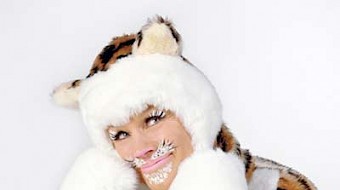 Kissa Miauskis